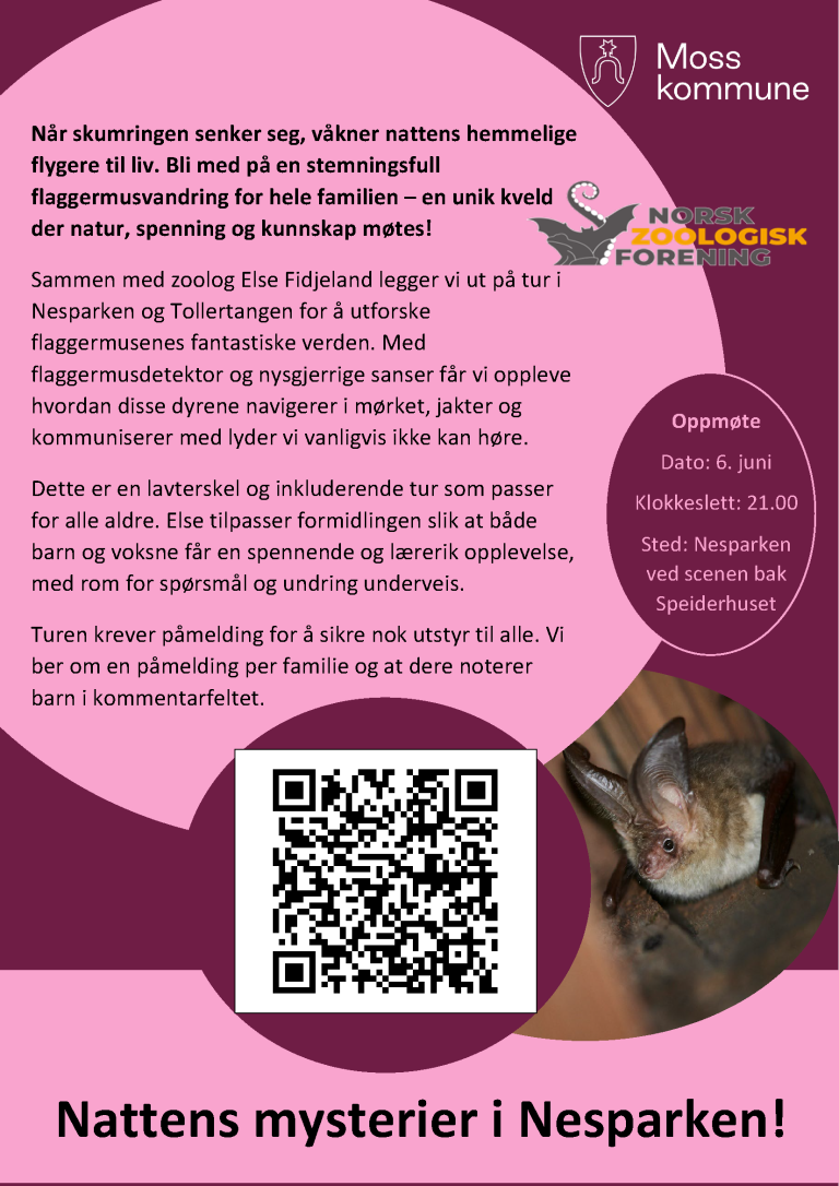 En invitasjon til flaggermusvandring kl 21 6.juni.