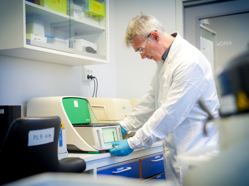 A NIVA researcher in NIVAs eDNA lab.