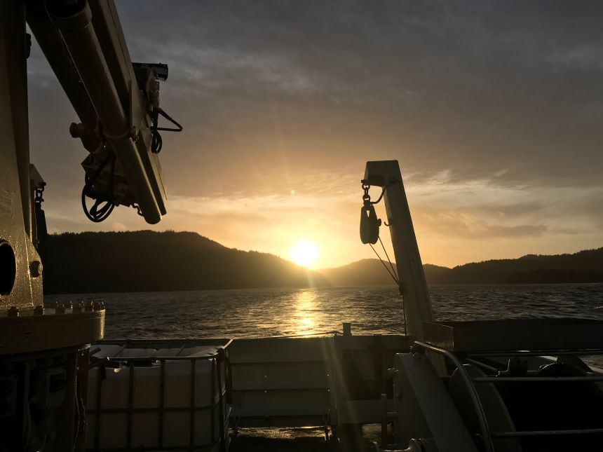 NIVA will investigate the interaction between all European regulations that affect the environment in the sea and the coast. The Oslo Fjord is included as one of the case studies. (Photo: NIVA)