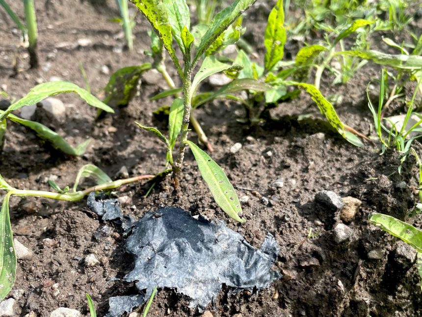 Plastics in soil