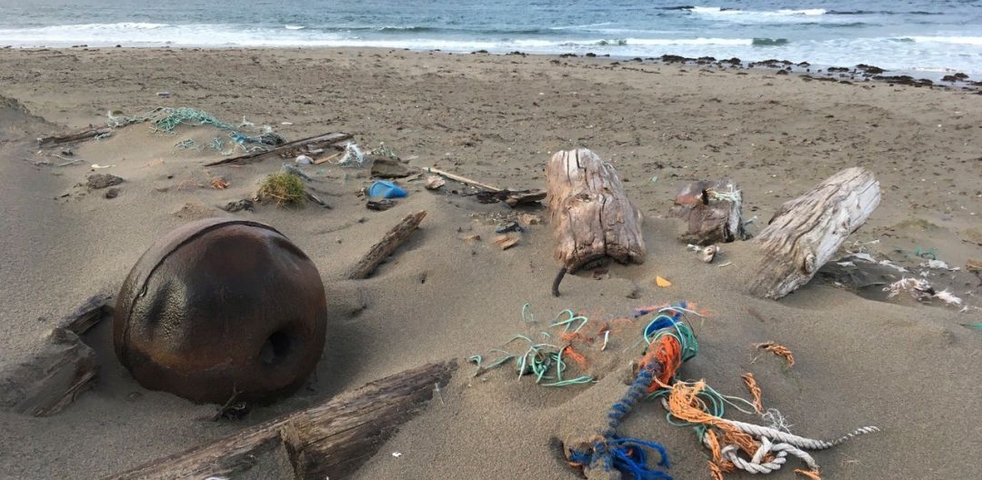 Plastics on beach