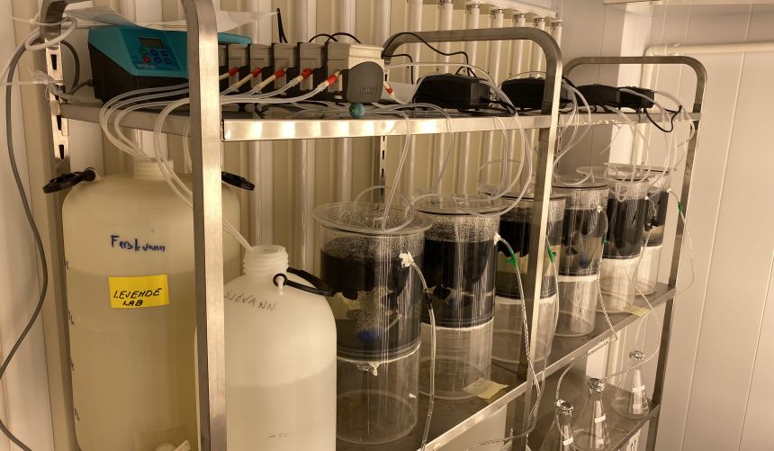 Tanks with cables on a shelf