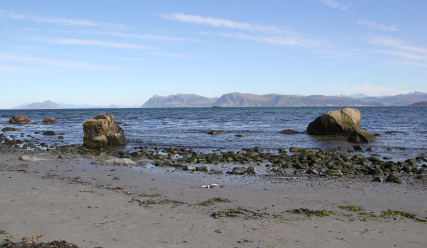 The coast at Runde in Norway. Photo: NIVA