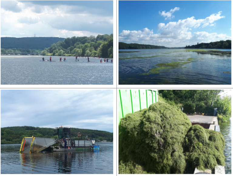 four photos