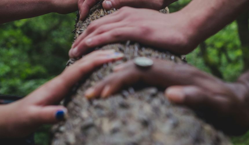 Hands holding a tree