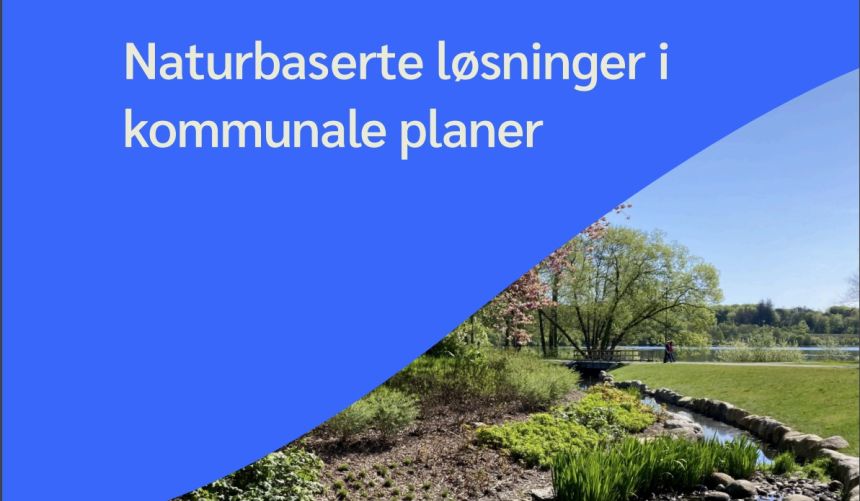 Tekst 