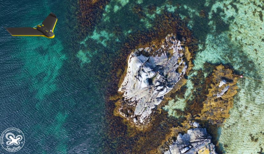 Dronebilde av kystnatur