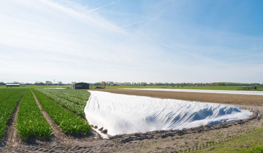 Landbruksåker med plast, prosjektlogo i nederste høyre hjørne