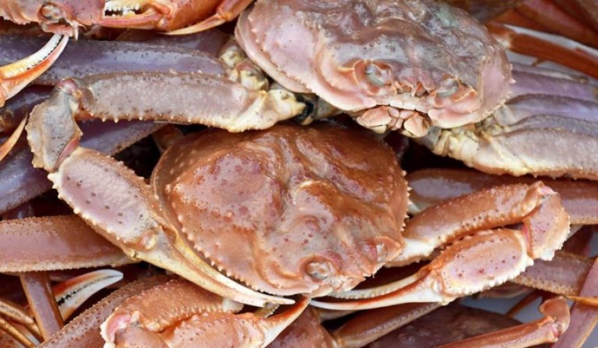 Krabber