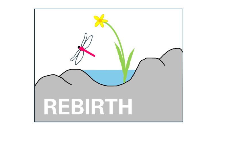 Logoen til forskningsprosjektet 'REBIRTH.' Består av en øyenstikker, en blomst i et vann med en steinrøys.