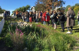 Folk samlet rundt et regnbed