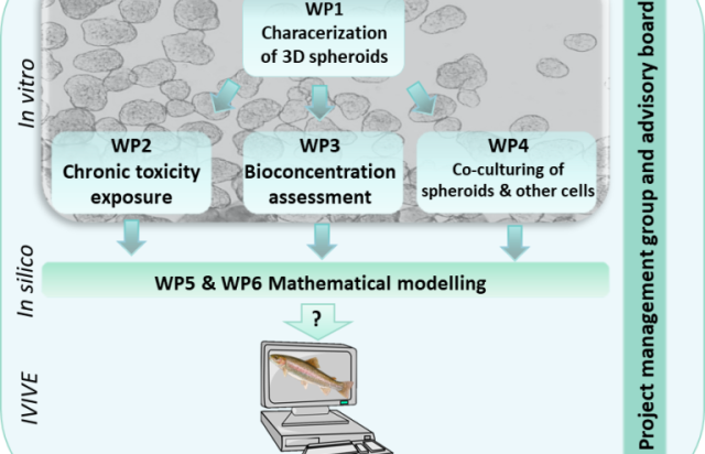 Figure work packages