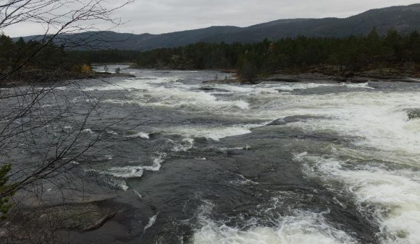 Bilde av elv med skog omkring. 