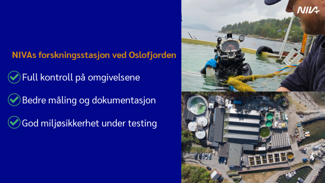 Viser tjenestene som NIVAs forskningsstasjon kan tilby på skrogvask