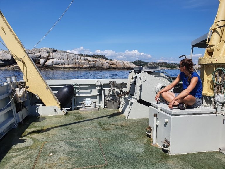 person on boat at norwegian coastline