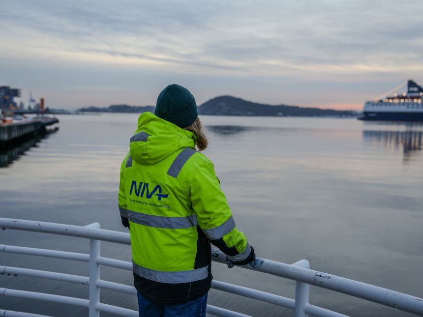 person i refleksjakke med NIVA-logo ser utover Oslofjorden