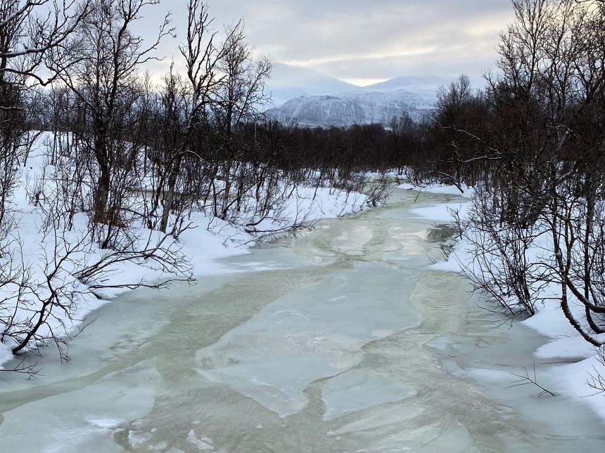 Her ser vi tidlig snøsmelting i Storelva i Tromsø kommune (Foto: NIVA).