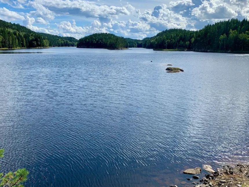 Bilde av innsjø med skog omkring.