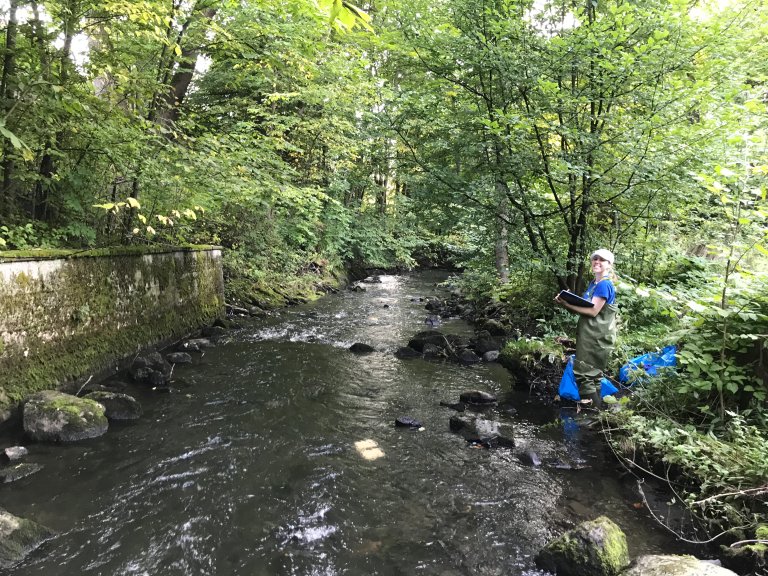 LON downstream 2_3