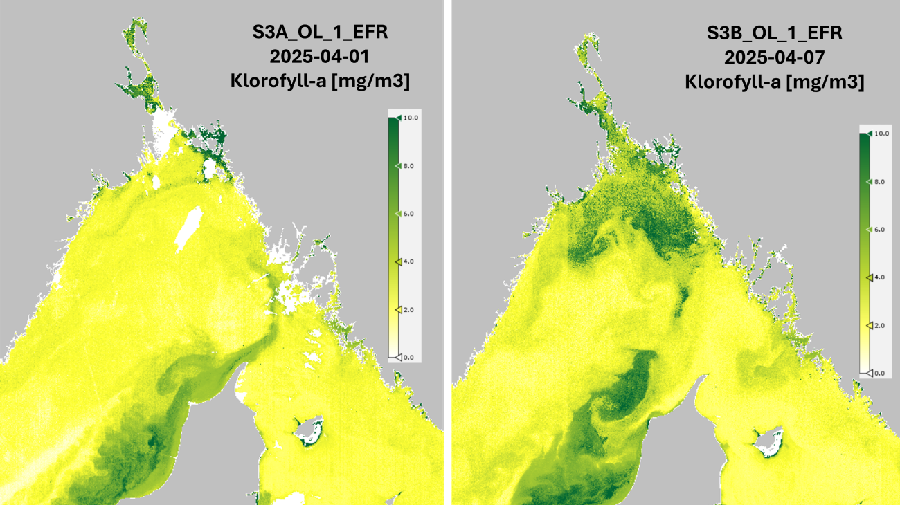 Satellittbilde av Skagerrak med grønne og gule felter. 