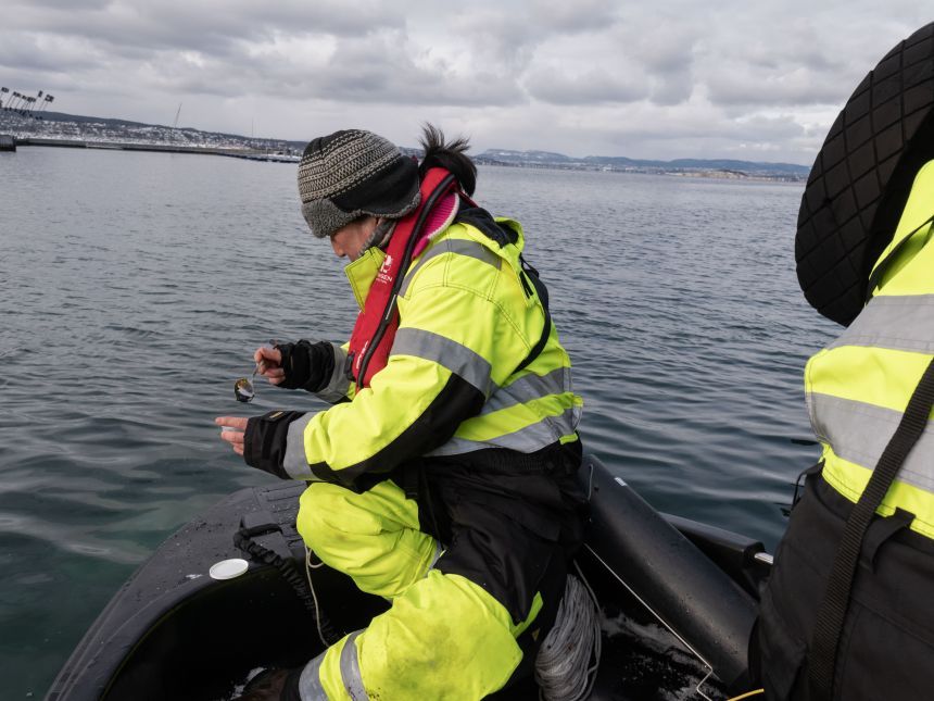 En NIVA forsker tar prøver av Oslofjorden