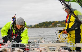 Kvinne står over de kunstige revene på en båt