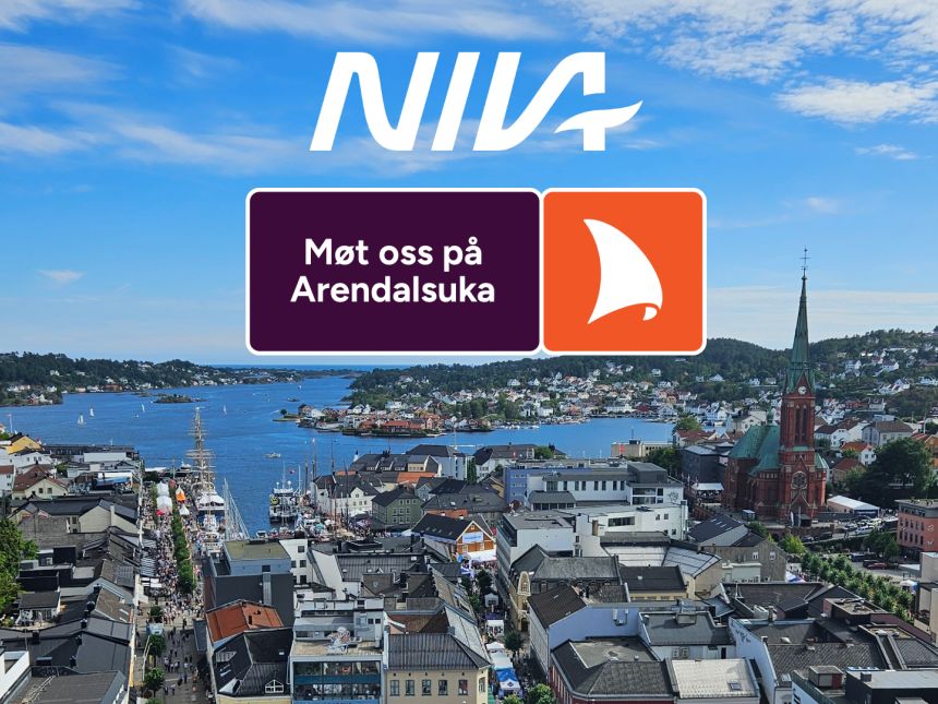 Et oversiktsbilde over Arendal by under Arendalsuka. Foto: NIVA