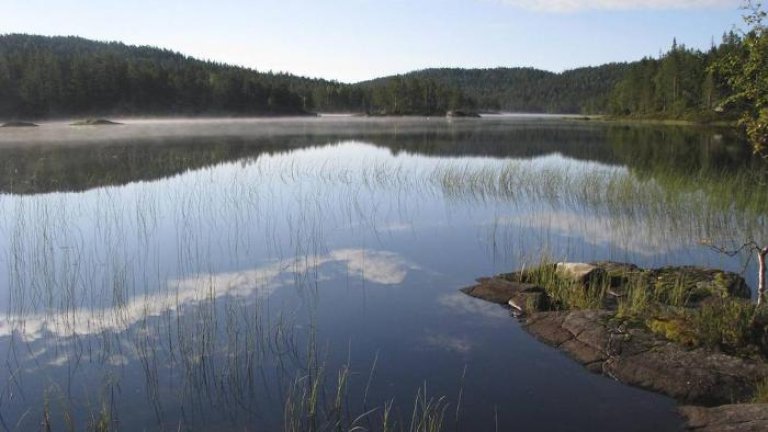 langtjern_lindholm