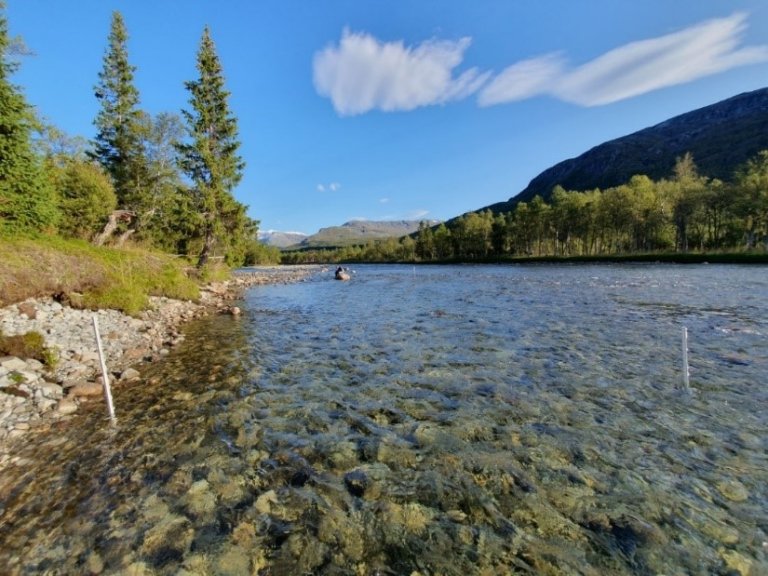 somskardelva_torgeir havn