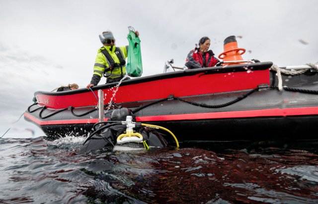 Mennesker på en båt på vei til å dykke