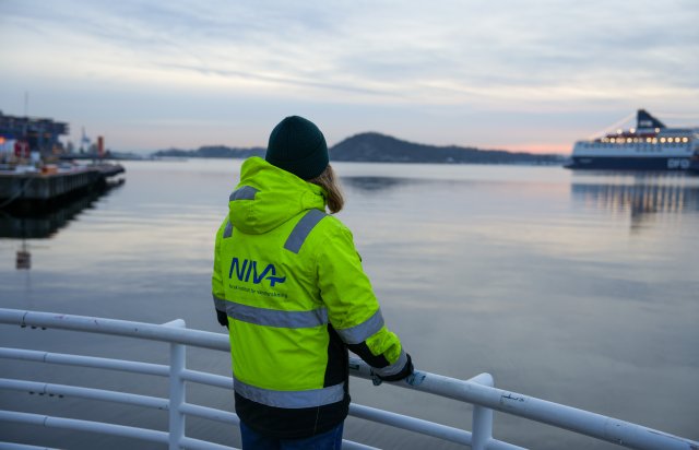 Person stirrer utover Oslofjorden