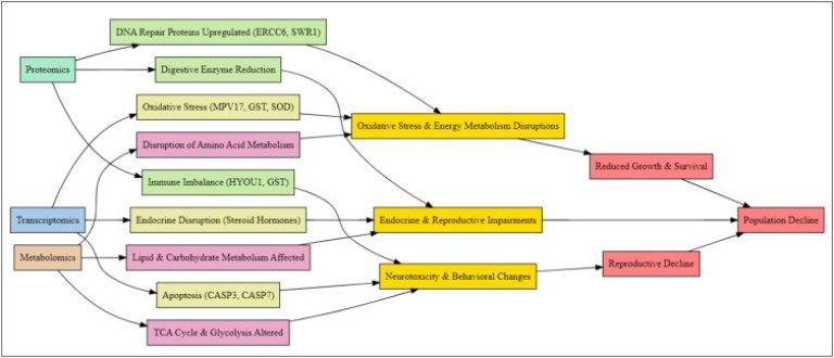 Figure showing schematic diagram of microplastic omics dynamics. Image reproduced from Mut et al. (2025), figure 2.