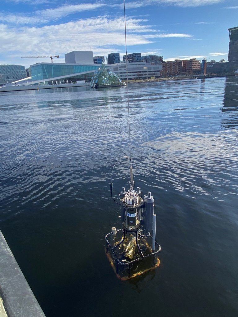 feltarbeid oslofjorden.jpg