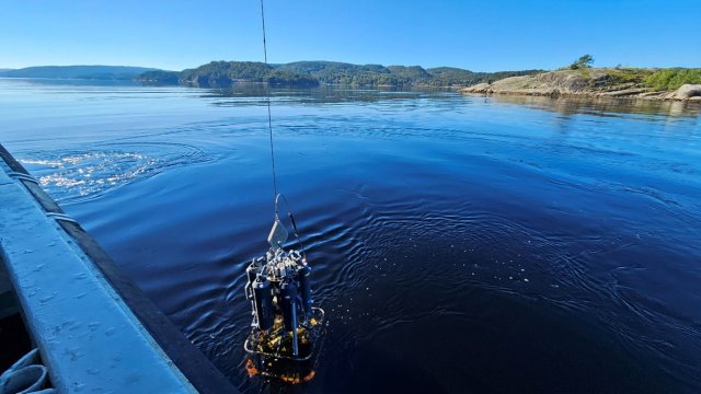 Vannprøve tas fra stille vann