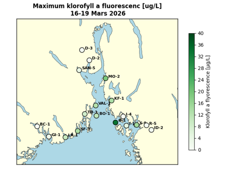Kart som vises overflatekonsentrasjonene av klorofyll-a-fluorescens i ytre Oslofjord