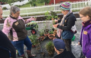 Tre personer med planter