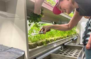 Lærer fra Natur VGS friserer salat