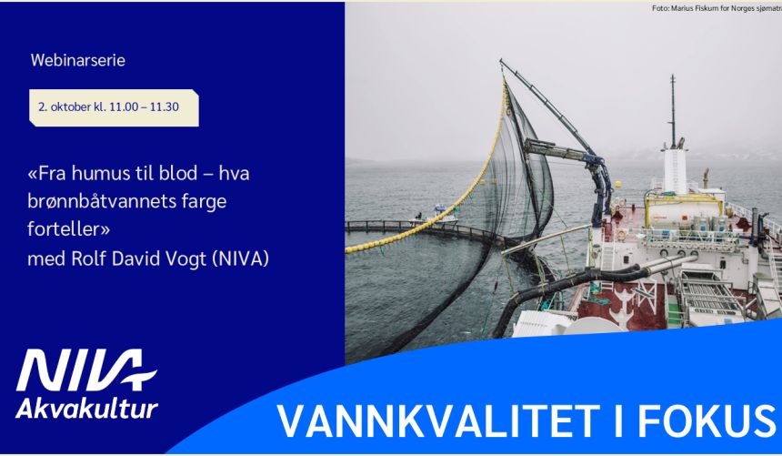 Bannerbilde med teksten 