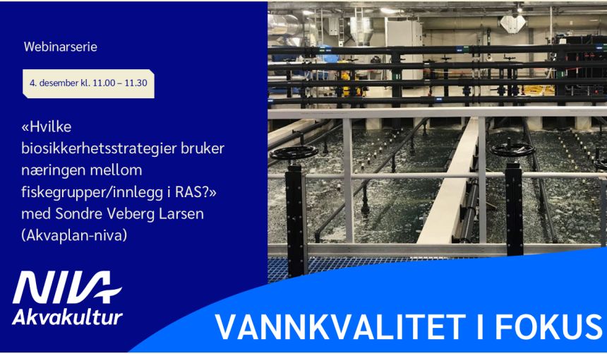 Bannerbilde med teksten 