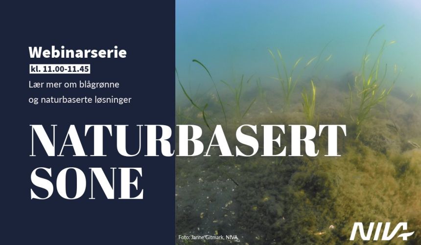 Bannerbilde med teksten 