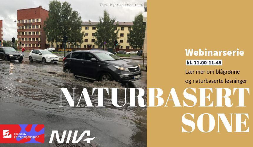 Bannerbilde med teksten 