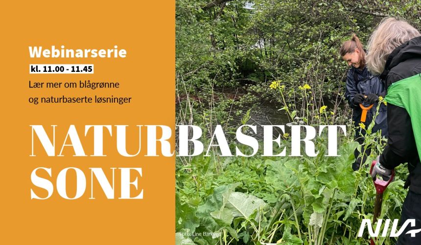 Bannerbilde med teksten 